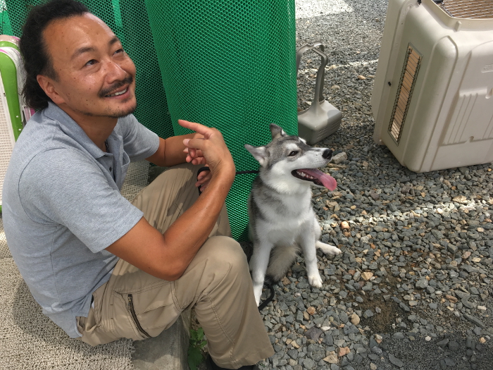 シベリアンハスキーのくるみの写真