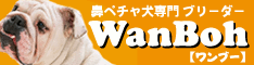 ワンブーバナー（234×60）