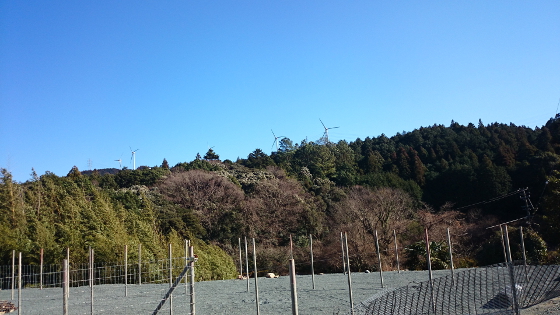 快晴の青空の写真