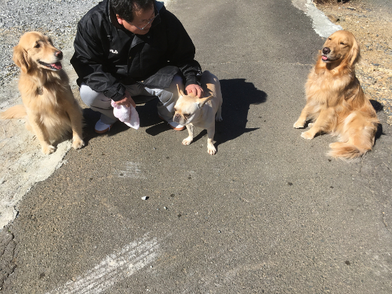 ポテチとウィルとカルナの写真