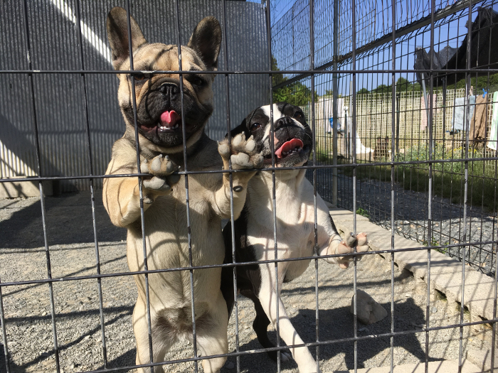 ドリアンとみんちの写真