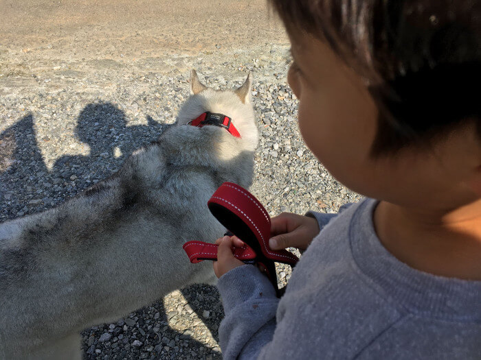 ワンブー2号の写真